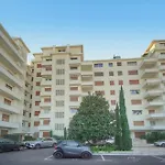 Frgk 'marly Croisette Face '